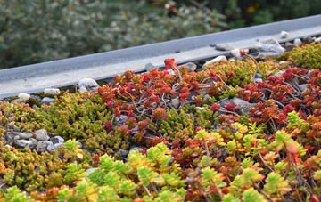 the cost of Abraham Heights green roof installation