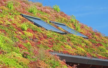 Abraham Heights living roof systems